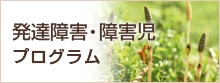発達障害・障害児プログラム